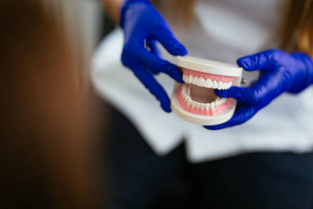 Best Dental Exams and Cleanings  in Holbrook, AZ