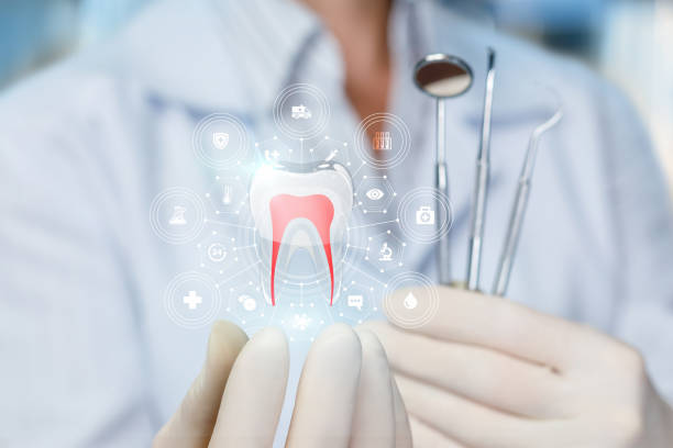 Why Choose Us for Your Dental Needs in Holbrook, AZ